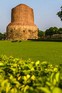 General knowledge about Sarnath