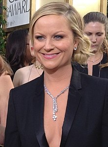 General knowledge about Amy Poehler