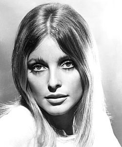 General knowledge about Sharon Tate