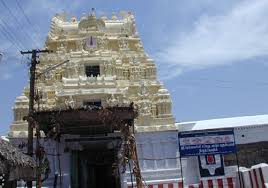 General knowledge about Ashtabhuji Temple