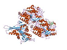 General knowledge about Tubulin