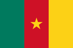 General knowledge about Flag of Cameroon