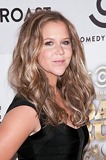 General knowledge about Amy Schumer