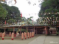 General knowledge about Bagheswari Temple