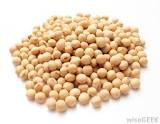 General knowledge about soybean nutritional fact