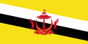 General knowledge about Flag of Brunei