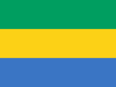 General knowledge about Flag of Gabon