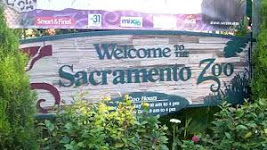 General knowledge about Sacramento Zoo